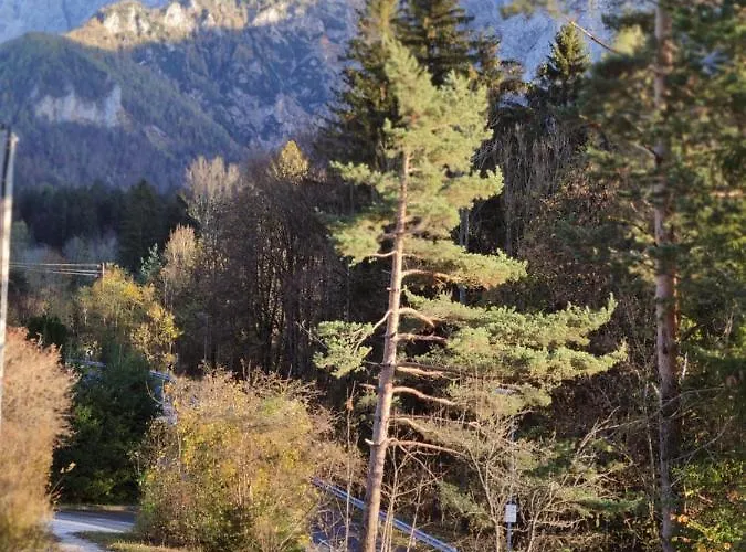 Prázdninový dům Hisa